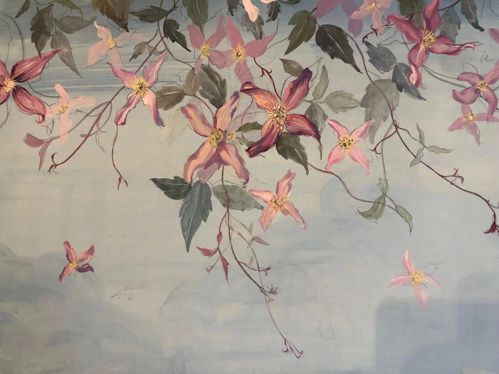 Clematis Blossom