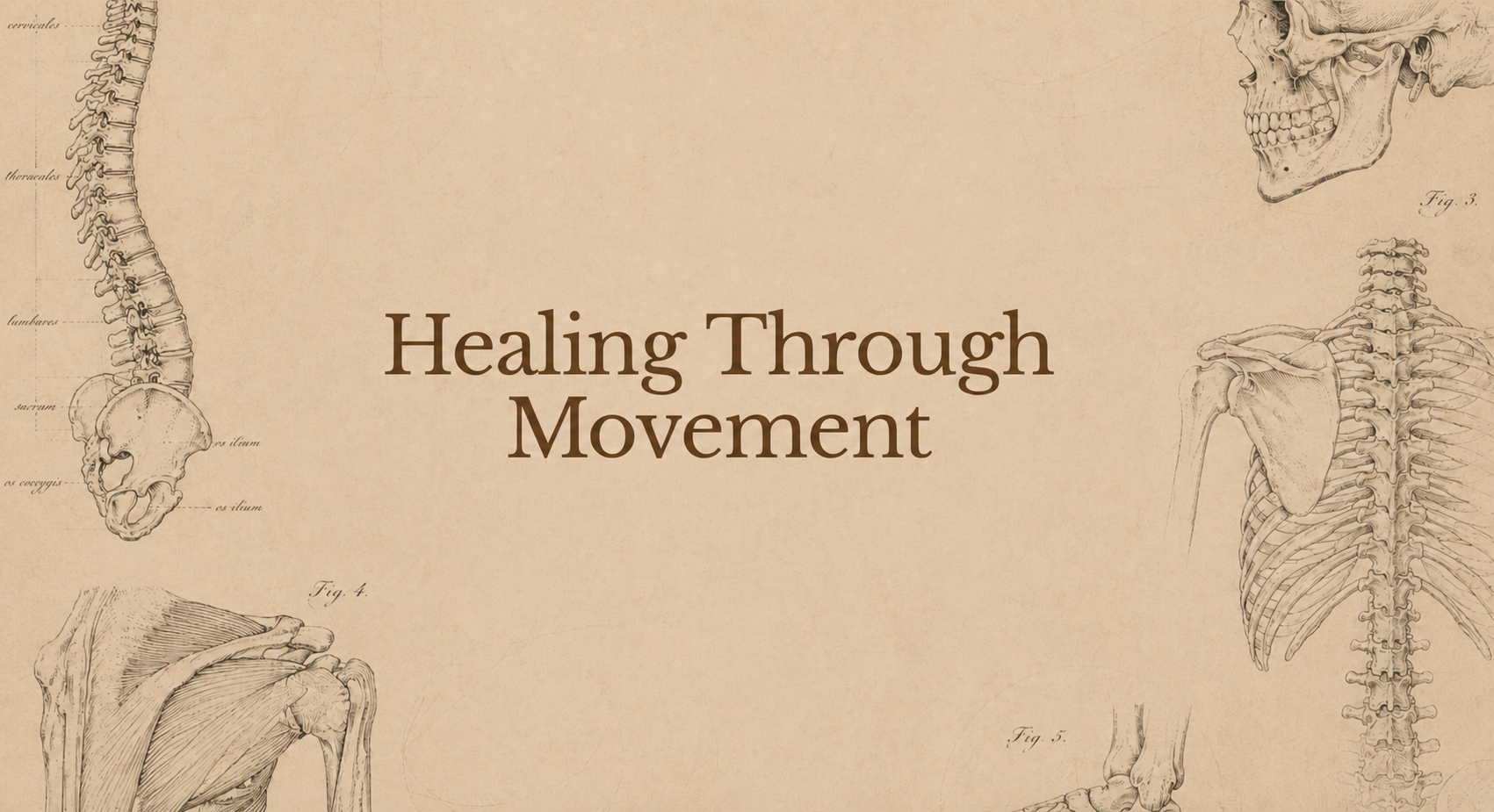 Vintage anatomical drawings of the human spine, skull, shoulder, and pelvis with the text 'Healing Through Movement' in the center.