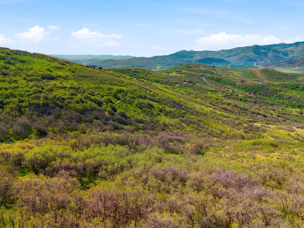 DJI_20260529100139_0013_D.jpg