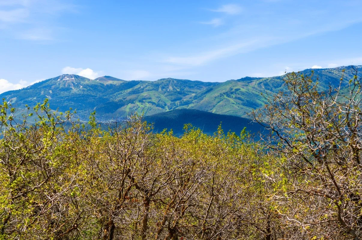 DSC_3791.jpg