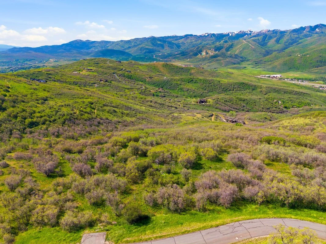 DJI_20260529100351_0015_D.jpg
