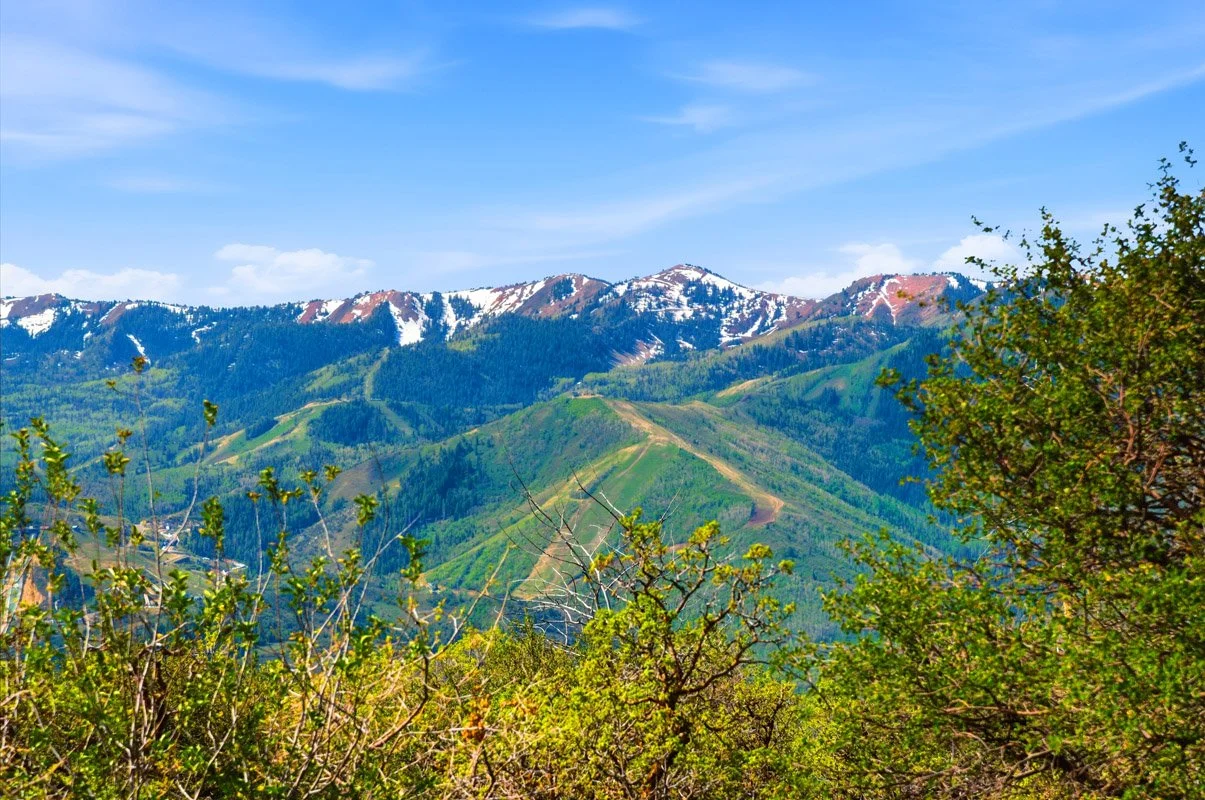 DSC_3786.jpg