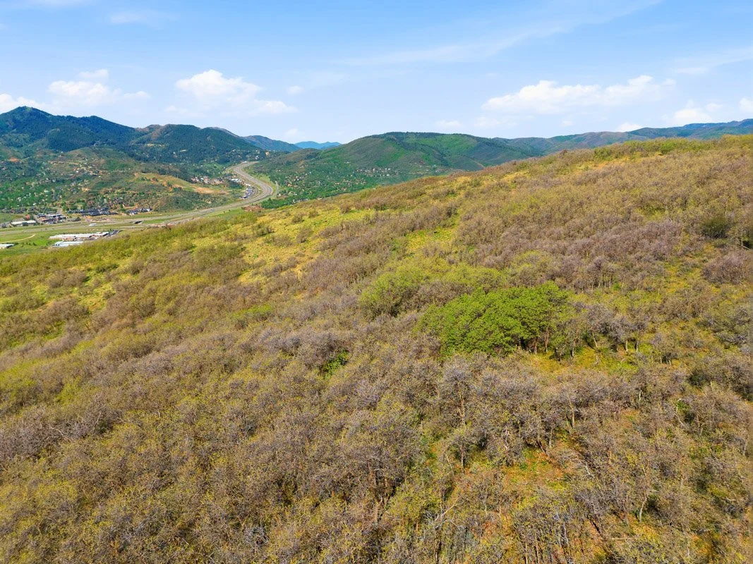 DJI_20260529100132_0012_D.jpg