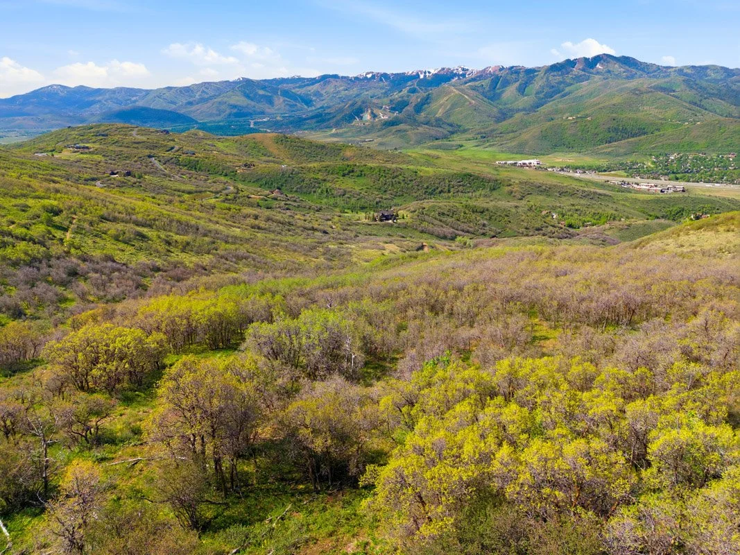 DJI_20260529100417_0016_D.jpg