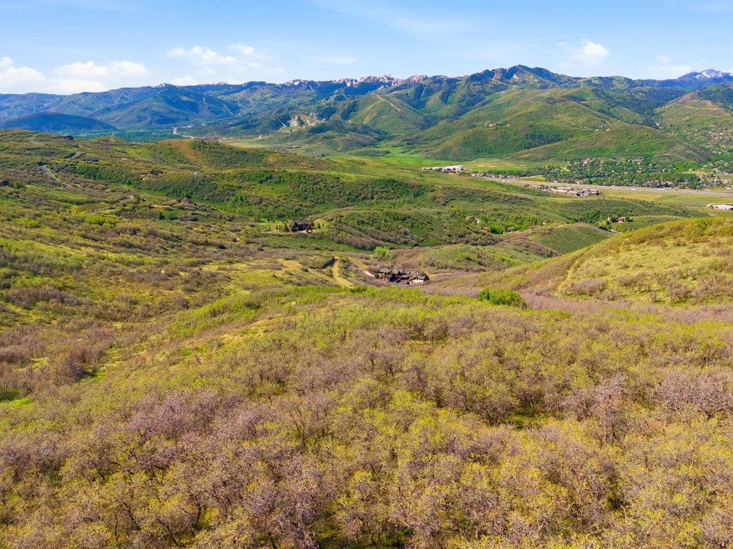 DJI_20260529100112_0011_D.jpg