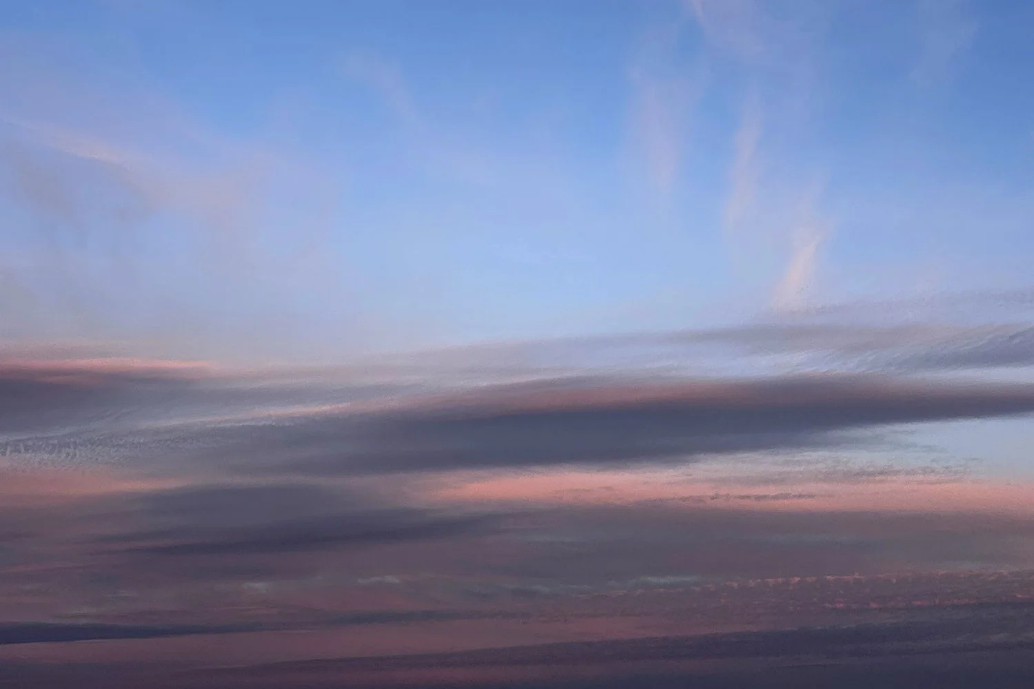 An Observation of Grief