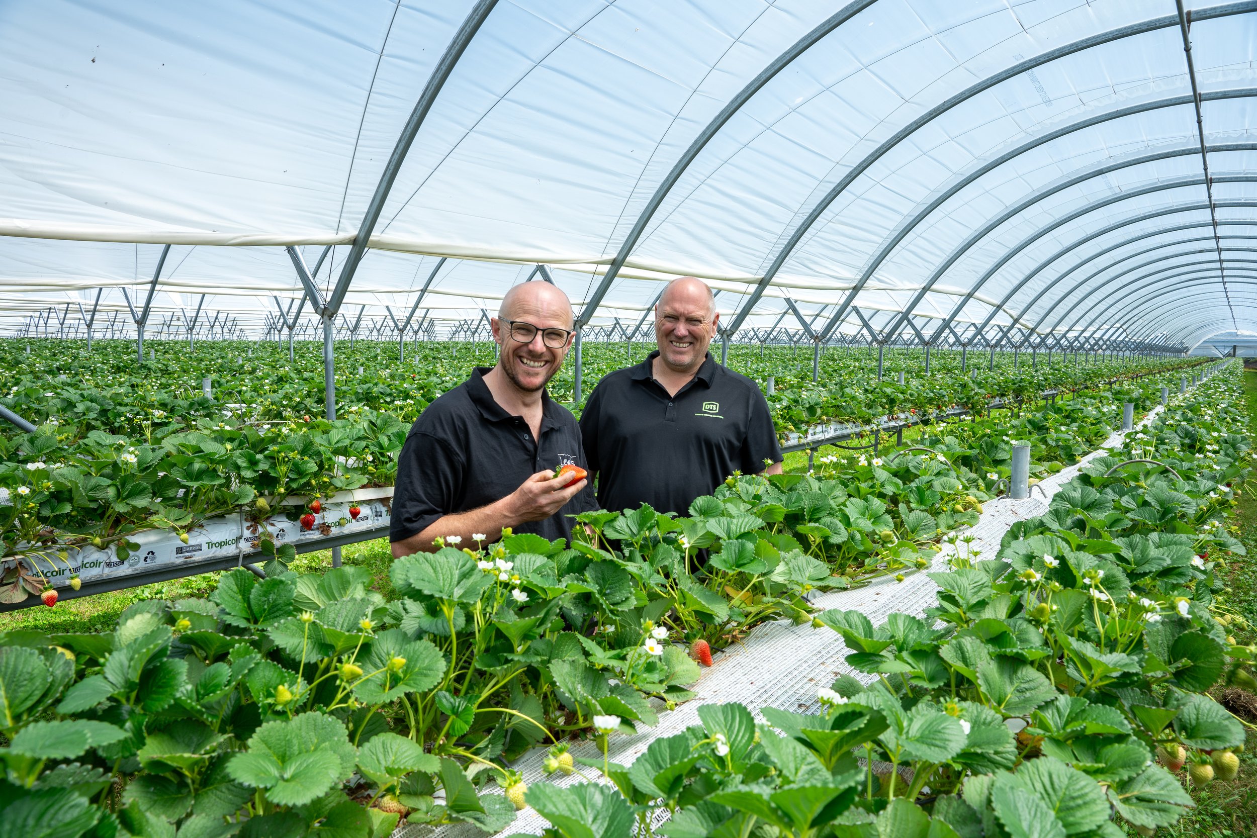 Refrigerant gas Swap out makes good horticultural success