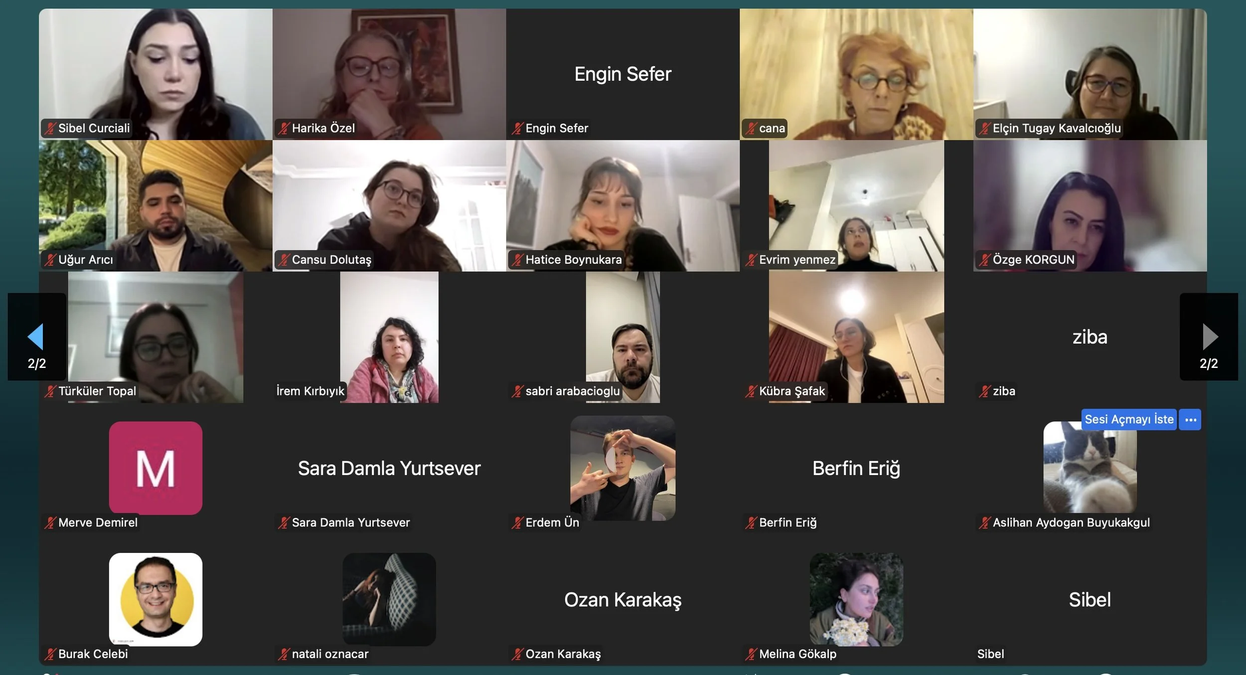 A screenshot of a virtual meeting with multiple participants, each visible in individual video tiles, with some participants appearing to be attentively listening, and one participant's video showing a cat instead of a person's face.