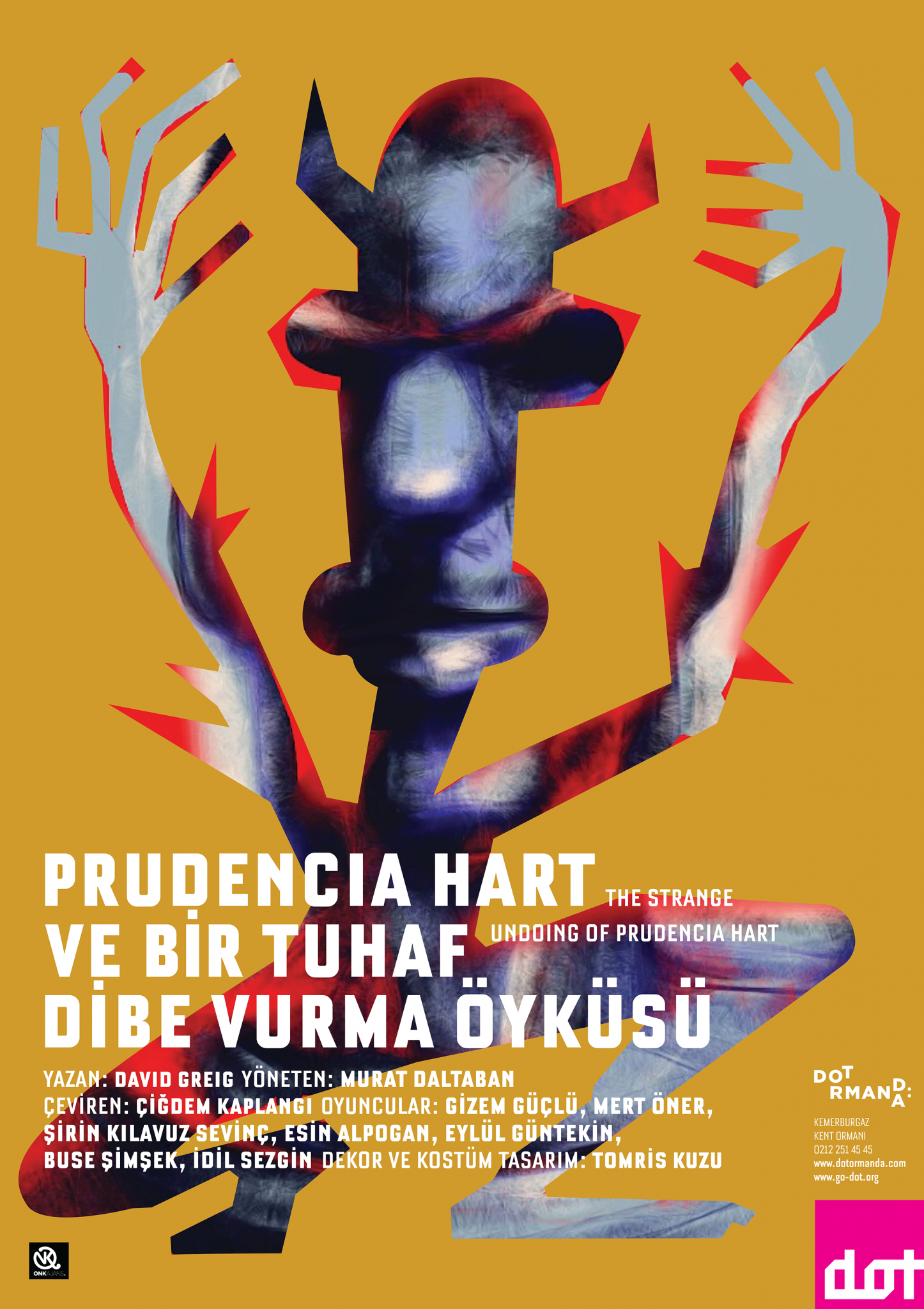A stylized, abstract portrait of a person with hands near their face, featuring vibrant colors and geometric shapes, with text in multiple languages including Turkish and English, promoting a book by Prudencia Hart.