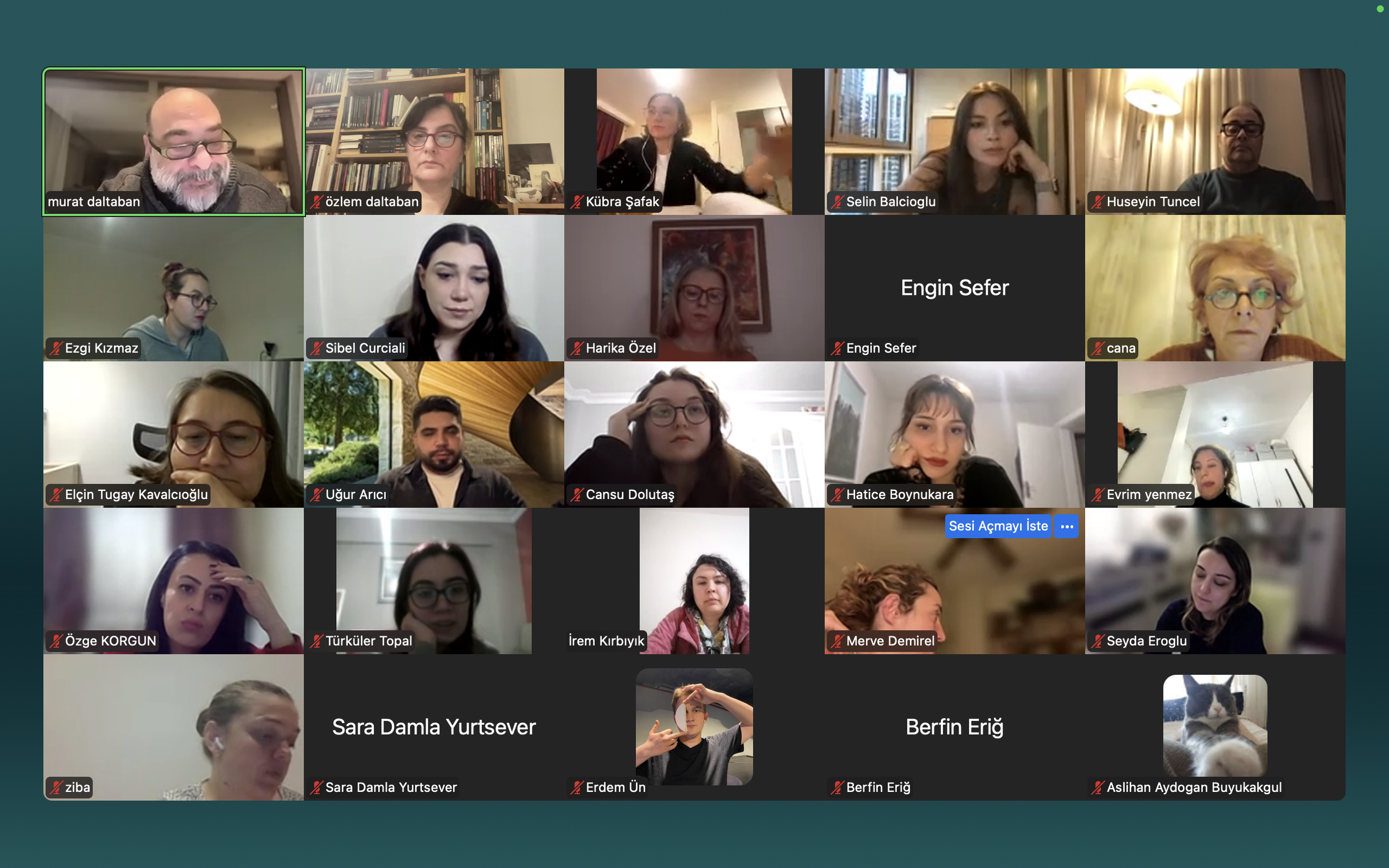 Screenshot of a virtual meeting with multiple participants in a grid, some with background rooms like bookshelves, windows, and curtains, and a dog visible in the corner.