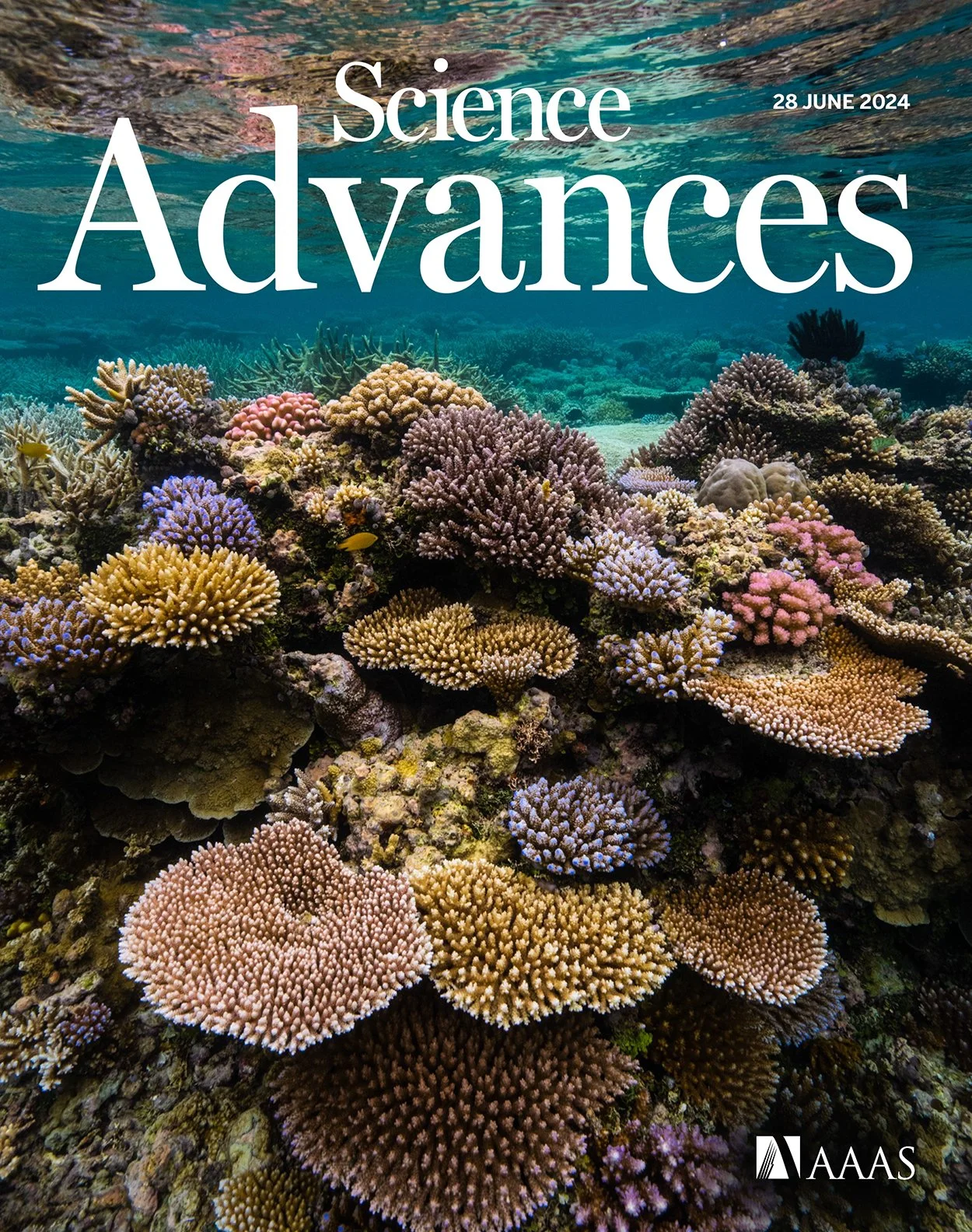 Underwater scene of colorful coral reef with various coral formations and small fish, overlaid with text 'Science Advances' and date '28 June 2024', and 'AAAS' logo.
