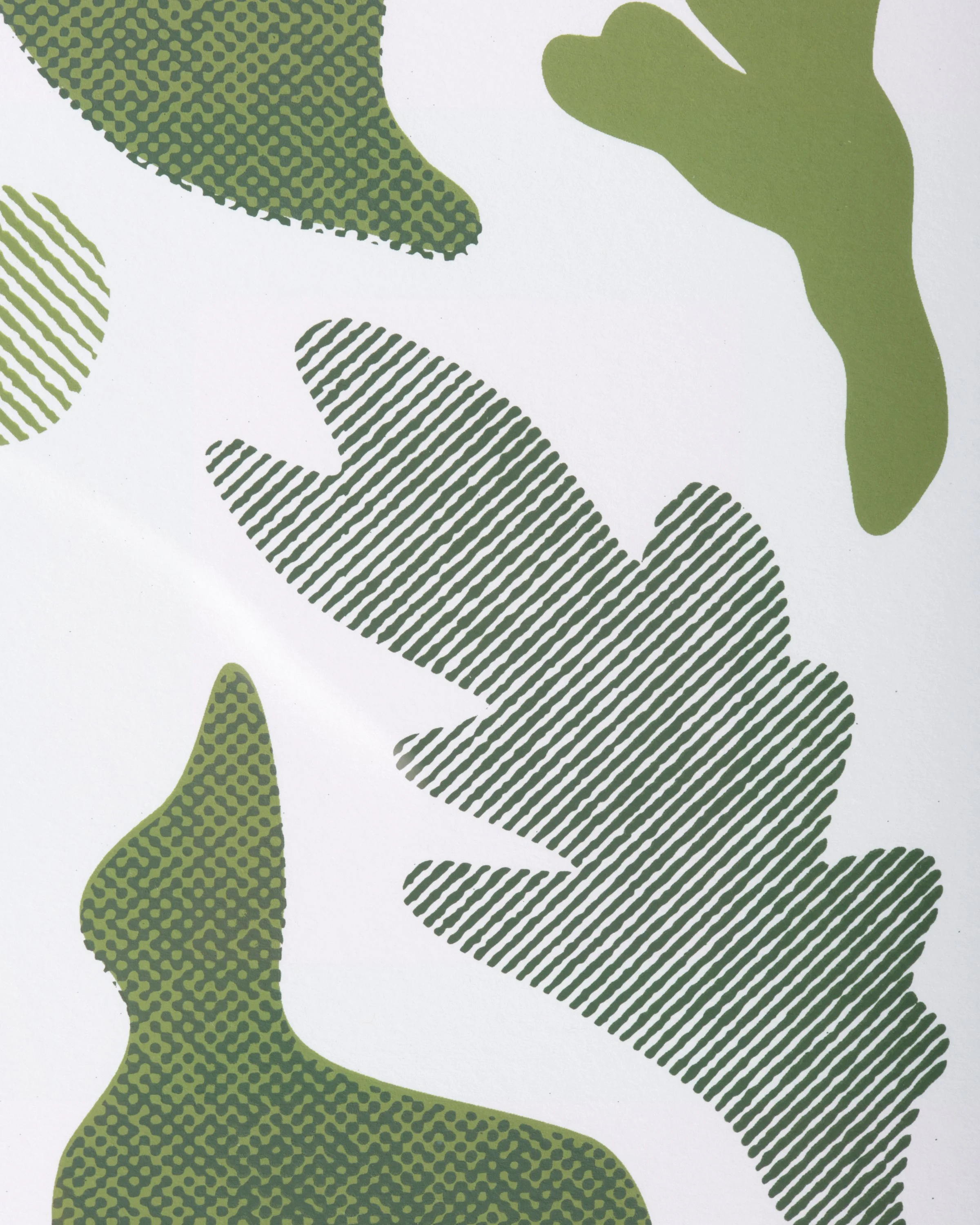 260428_NORDY_ART29022_edit.jpg
