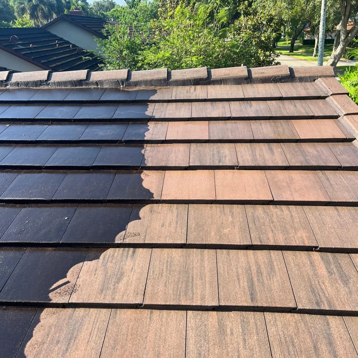 A close-up of a roof with dark brown tiles, partially cleaned with some tiles still dirty, showing the contrast between cleaned and uncleaned sections.