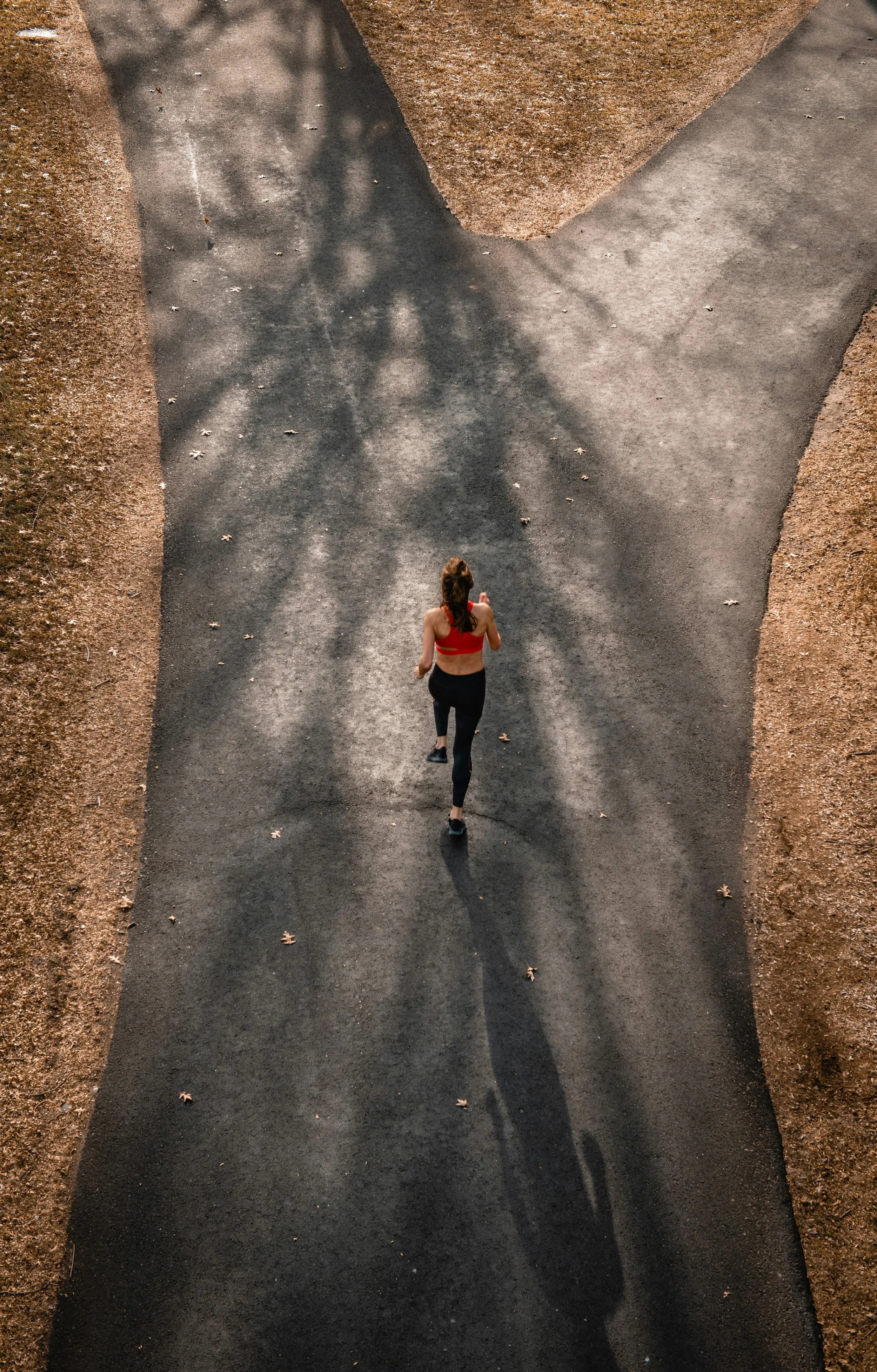 Personal Fitness Coaching