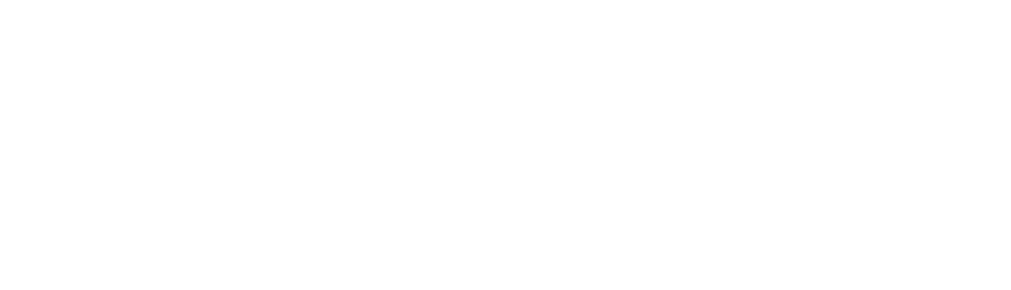 Text saying '35+ years of experience. Your professional painting partner' surrounded by decorative laurel branches.
