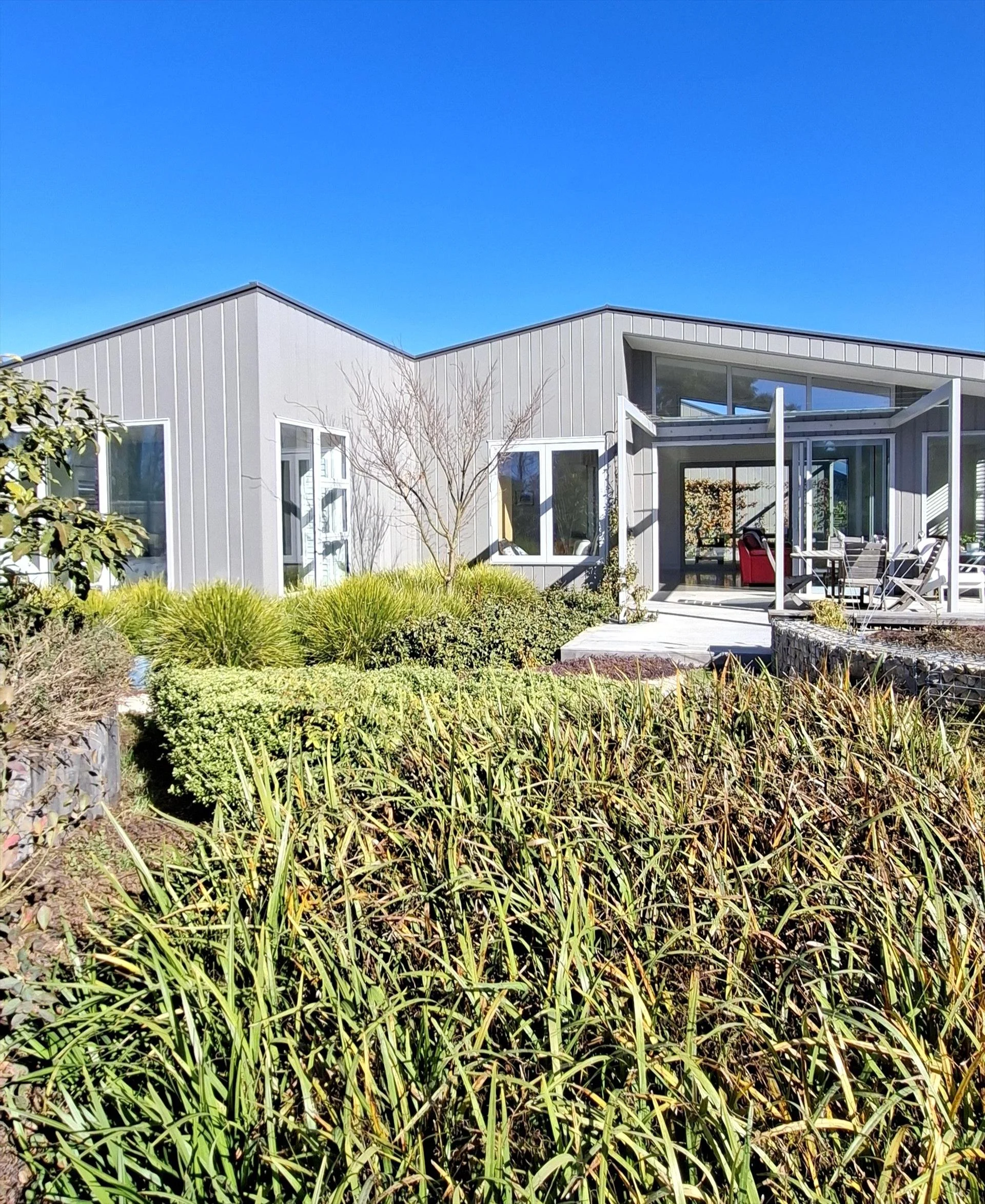 Modern house with light gray walls, large windows, and a garden with bushes and a small tree under a clear blue sky.