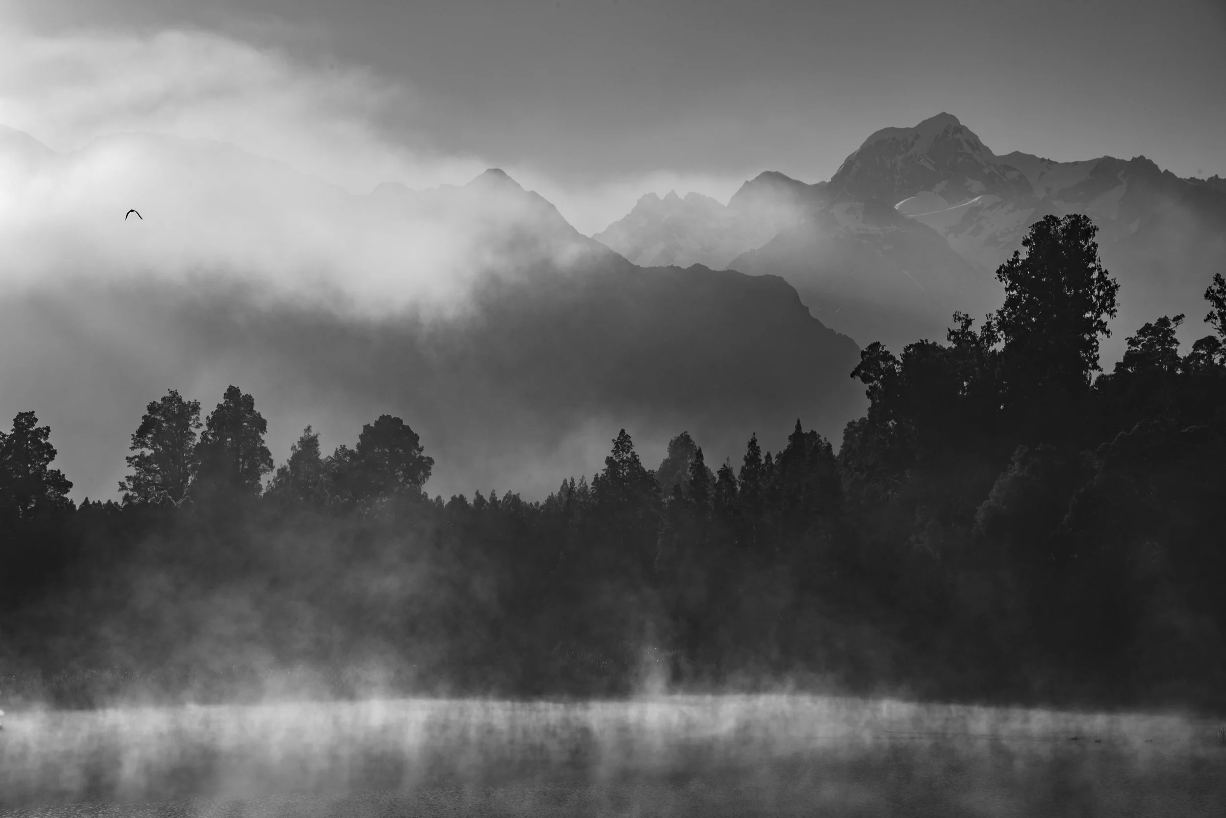 Black and white landscape of mountains with fog and trees, a bird flying in the sky.
