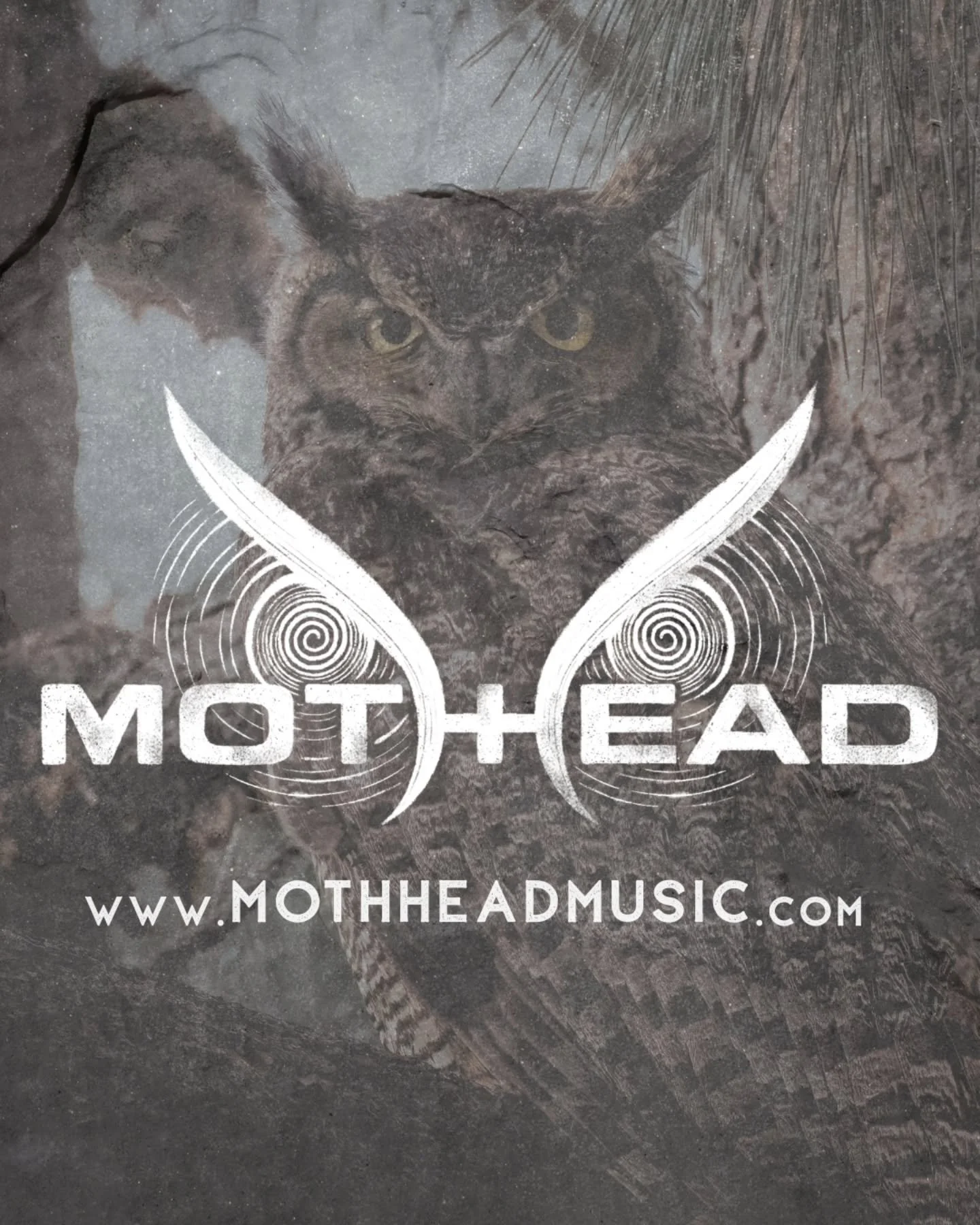 Check out our website to sign up for updates on shows and releases, shop for merch (when we actually have some), shoot us a message, and whatever else people use band websites for! Link in bio! 

#denverband #coloradoband #denver #smallartist #guitar