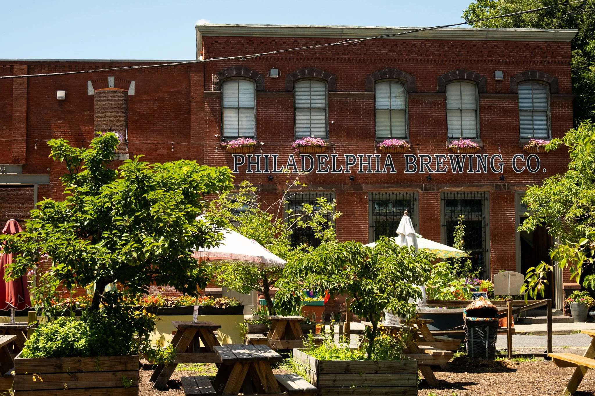 Bloom and Brew