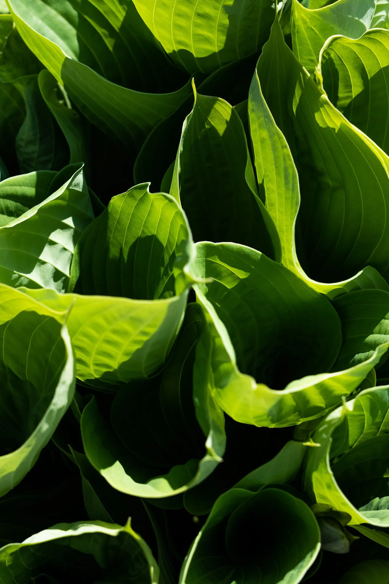 Warm and Green.