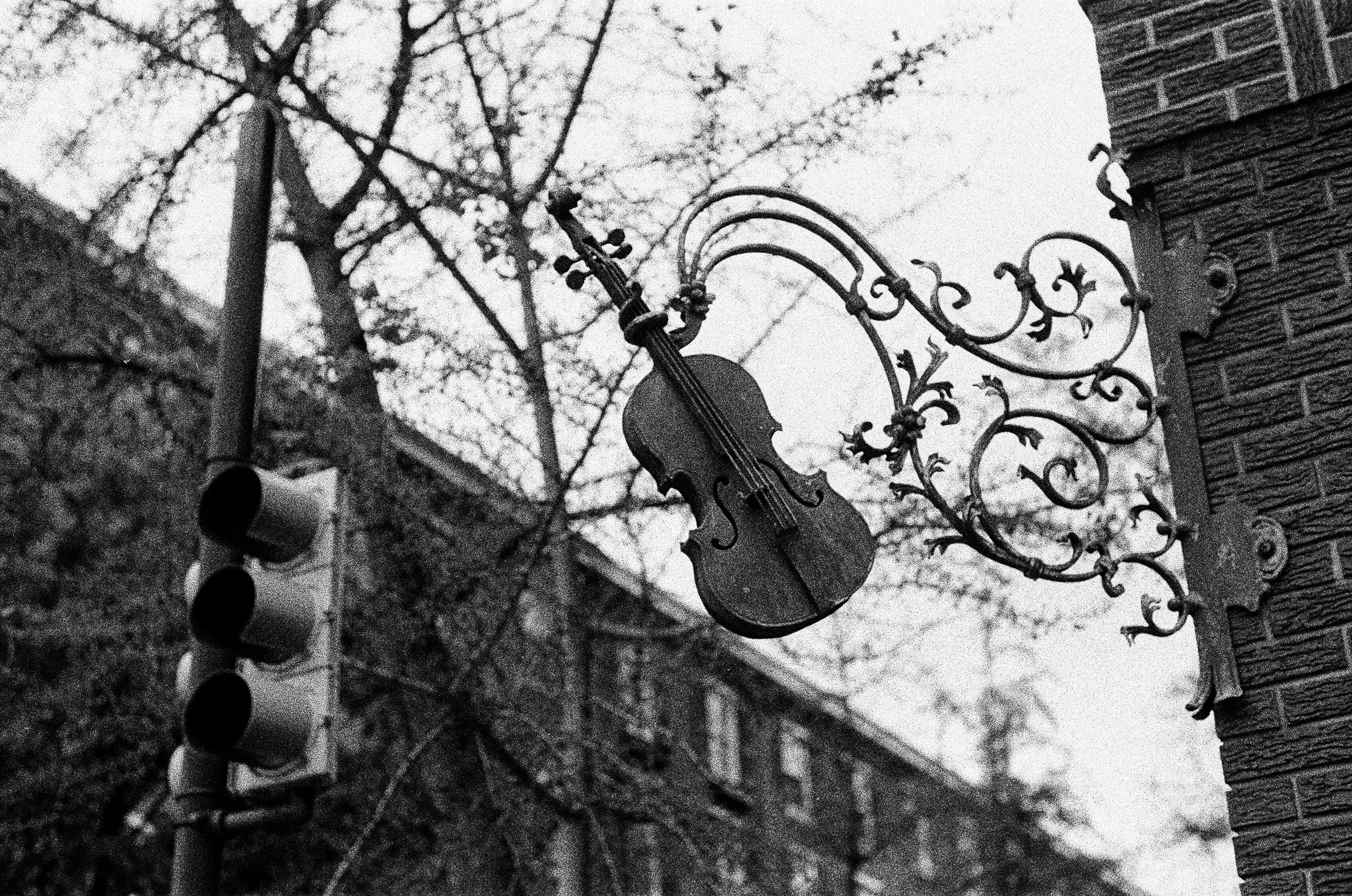 Strings on the Corner. Recommended maximum print size 8x12.