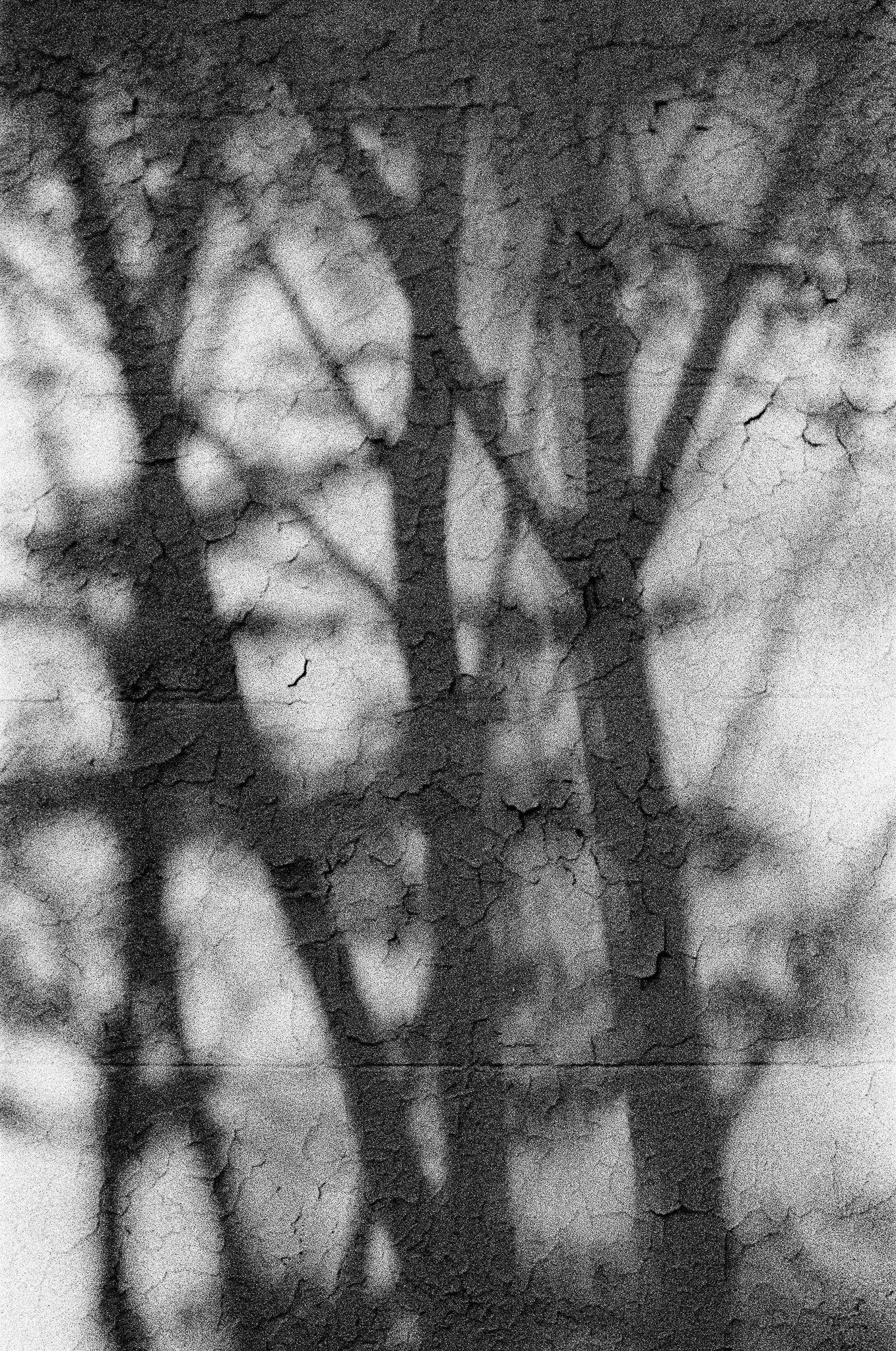 Late Afternoon. Recommended maximum print size 8x12.