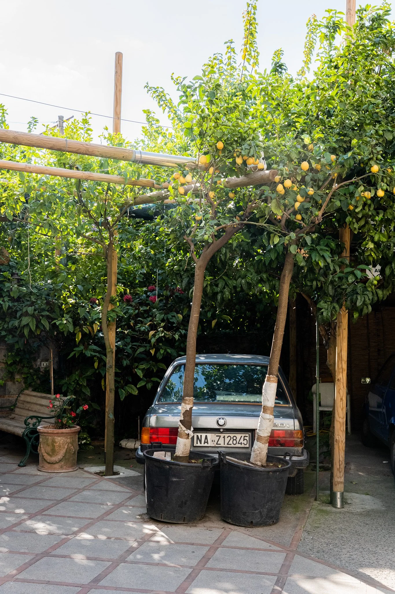 Tucked Away.