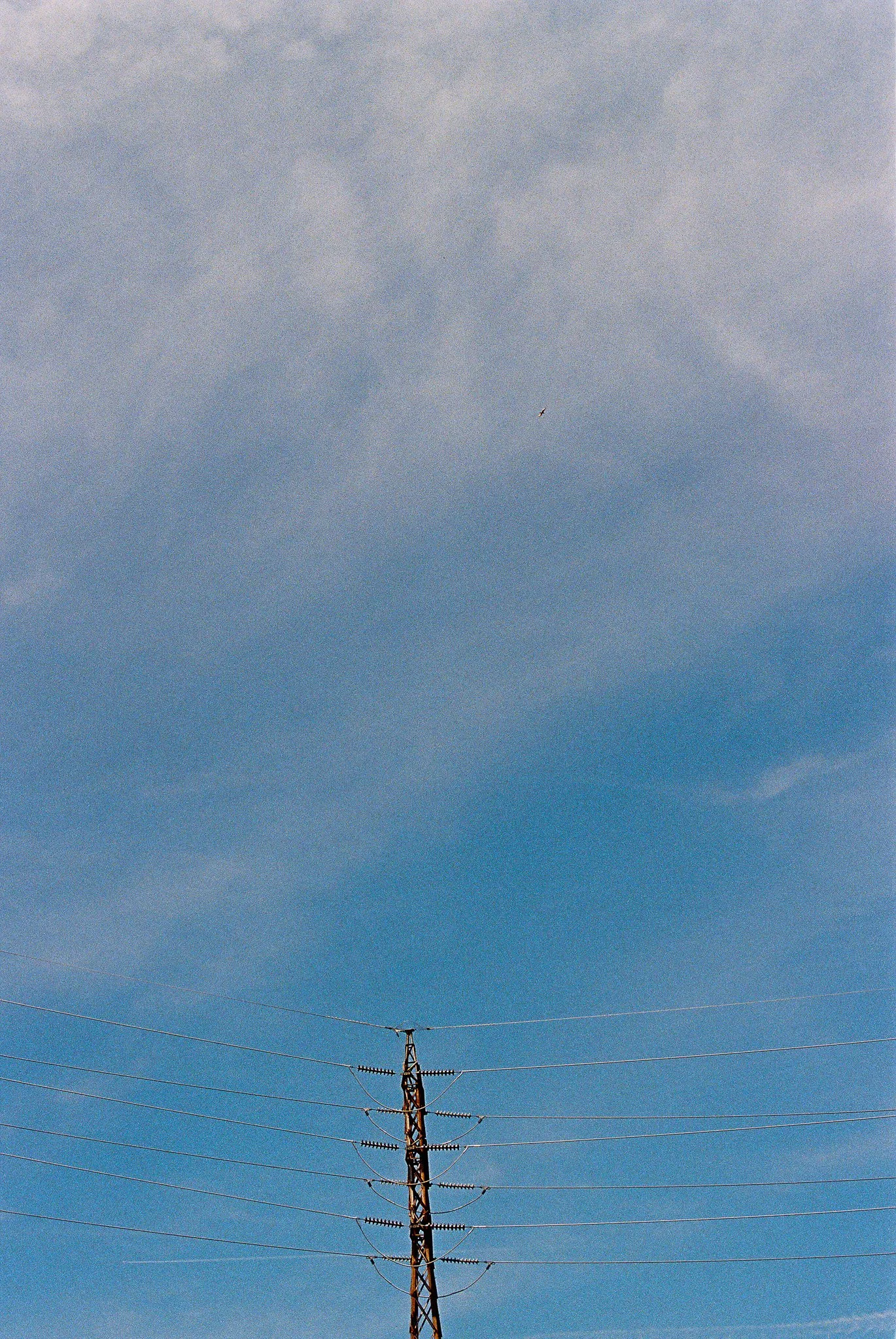Powerlines. Recommended maximum print size 8x12.