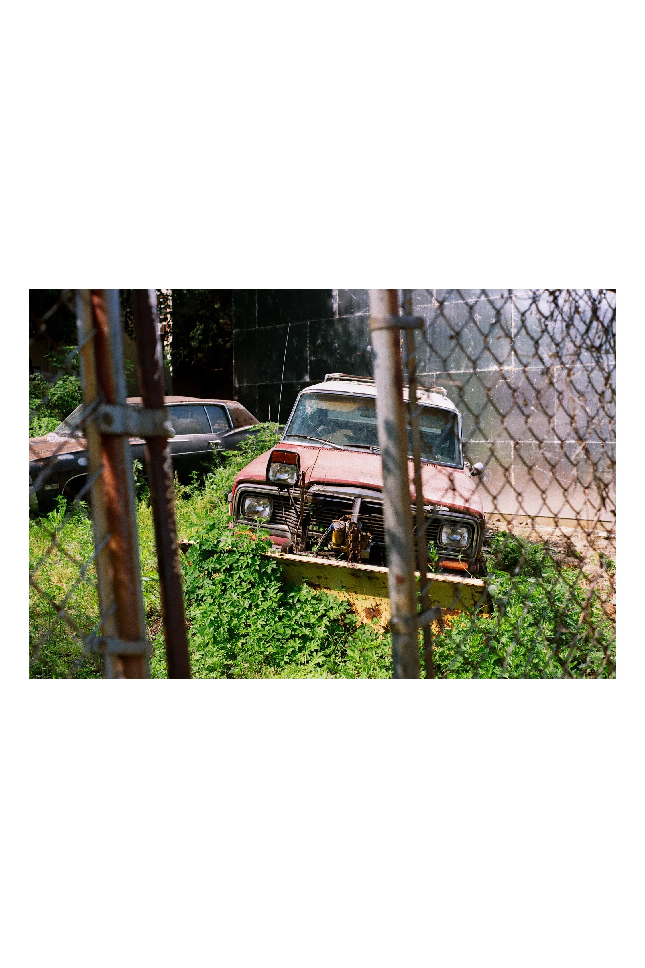 80510035.JPG
