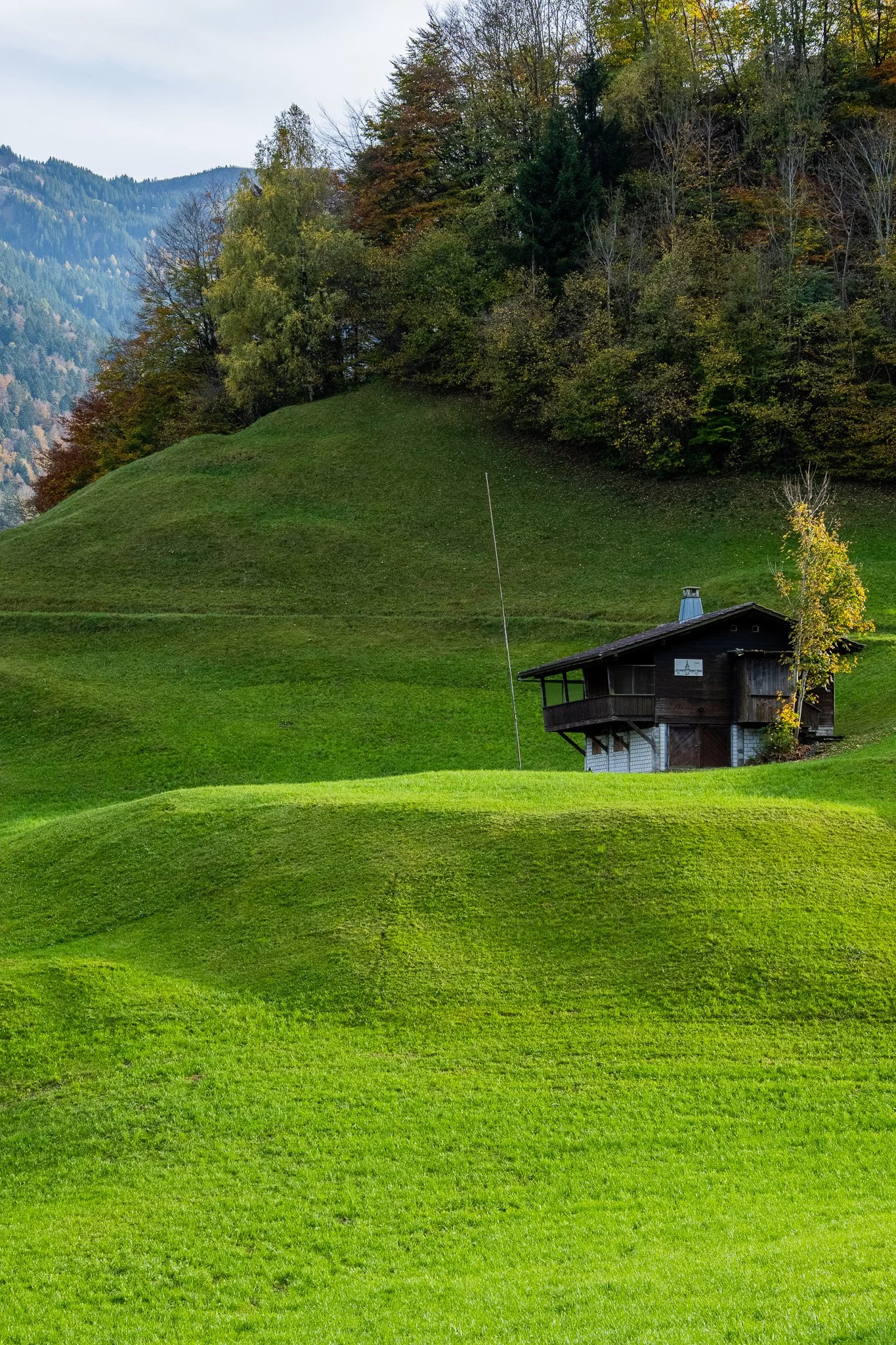 House on the Hill