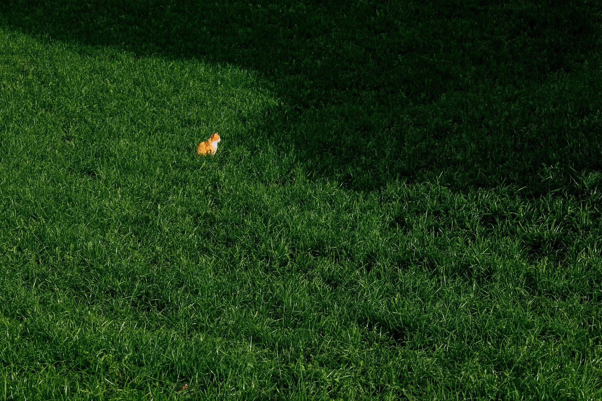 At Peace.