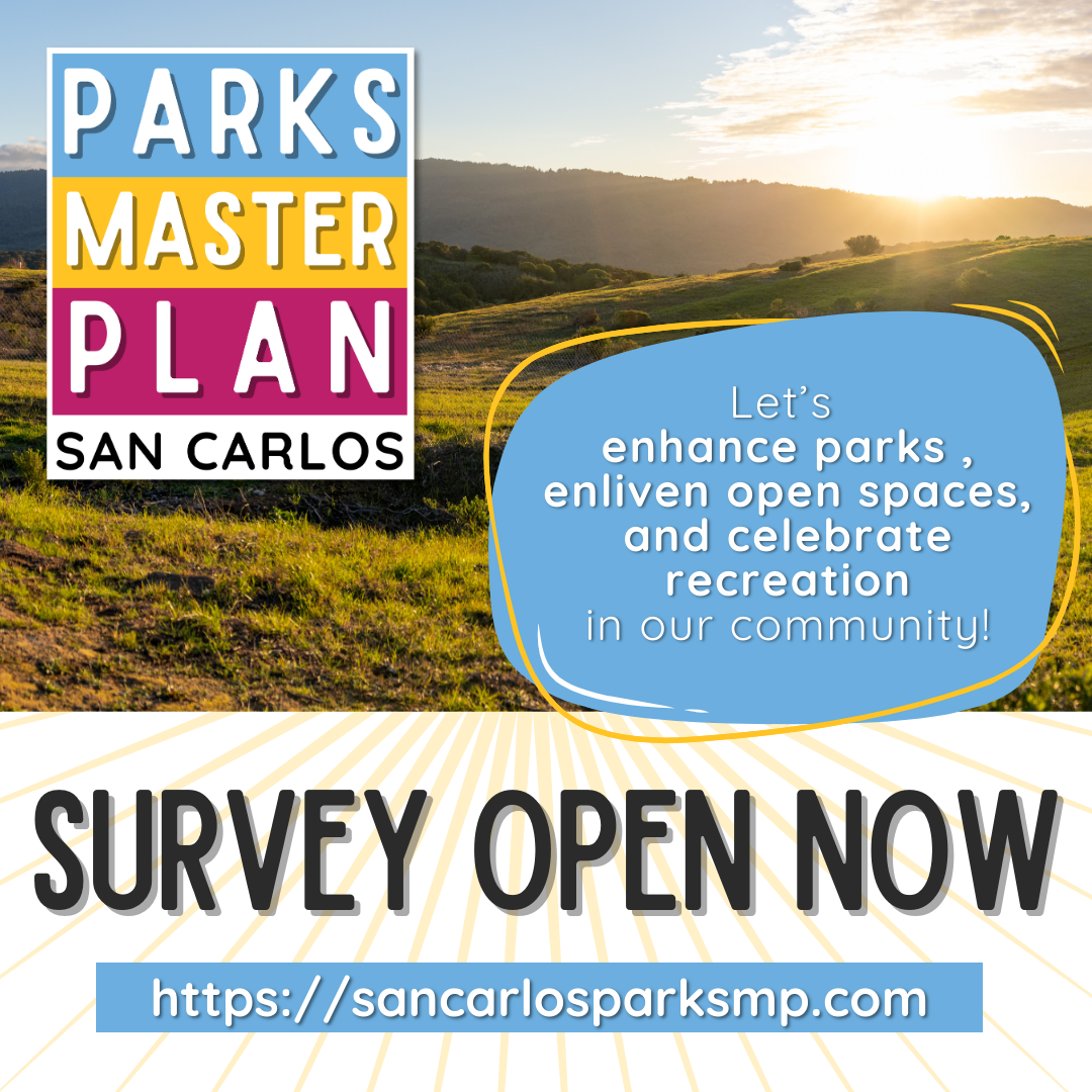 Online community survey