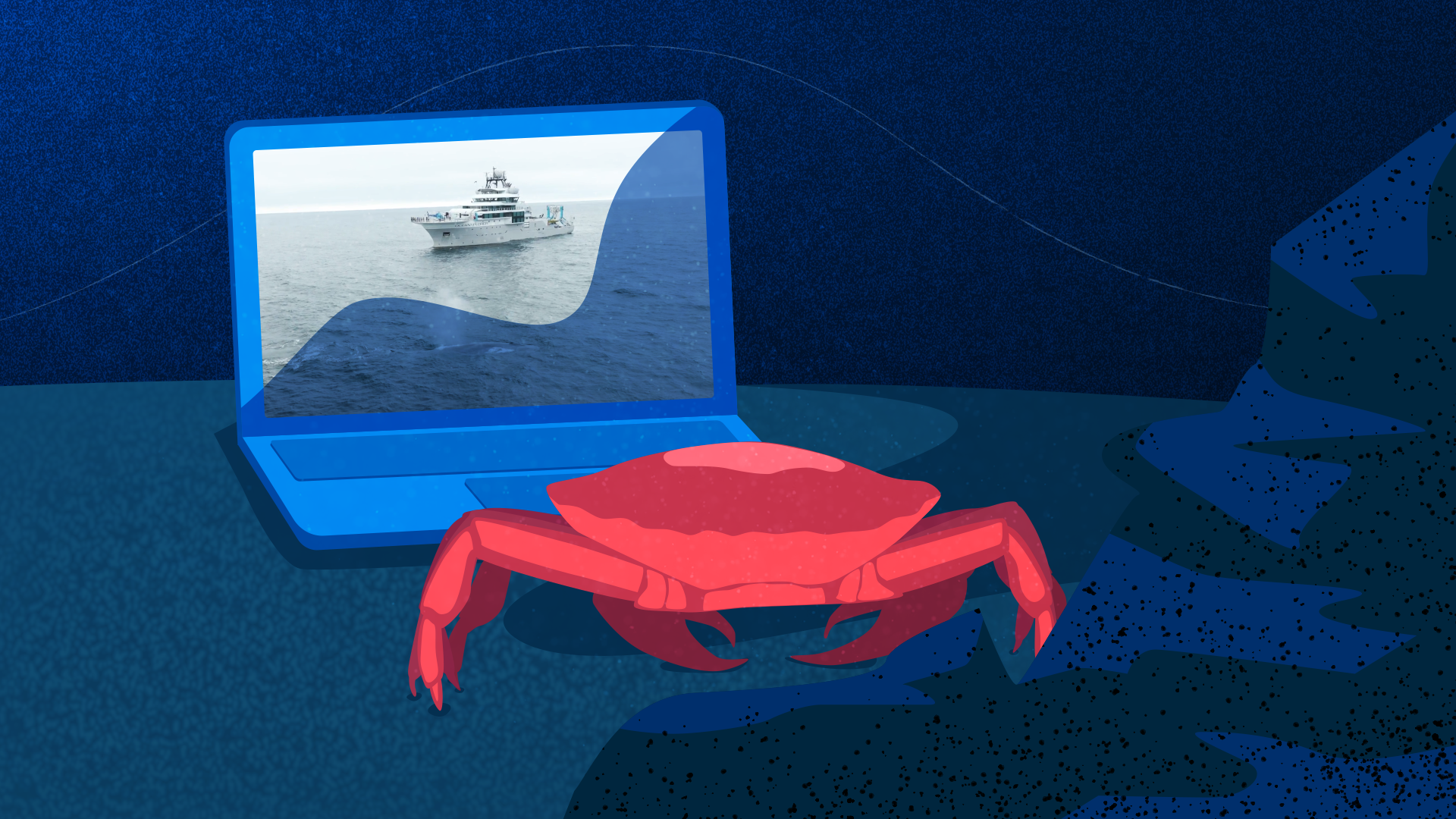 SEQUENCE_04_Crab_1 (0-00-02-10).png