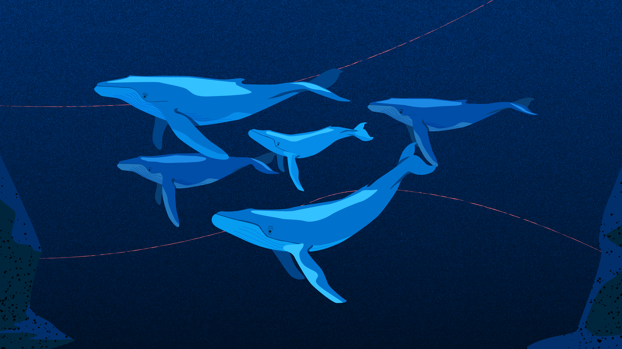 OceanX | Whale Fall
