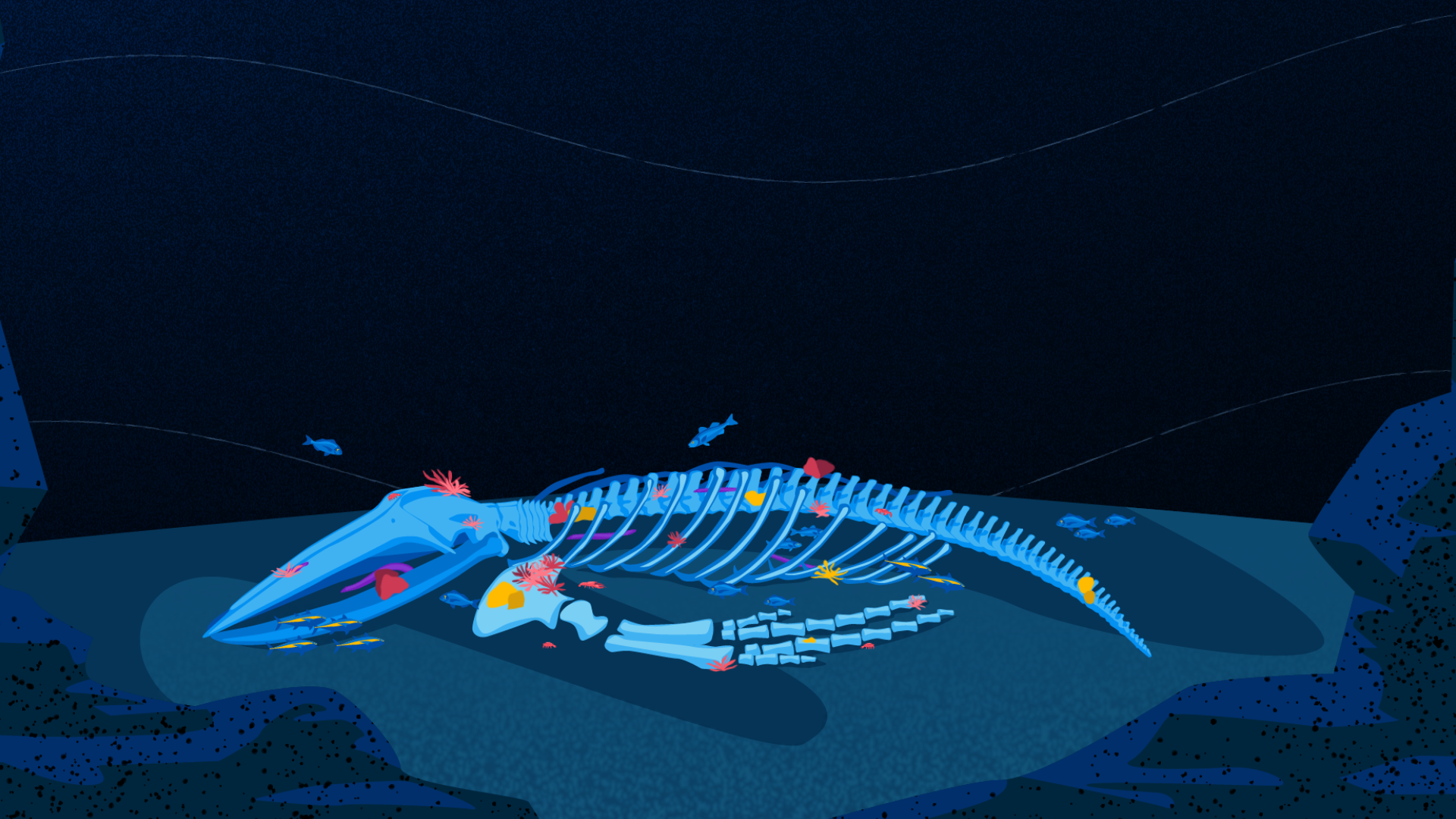 SEQUENCE_02_Reefwhales (0-00-00-00).png