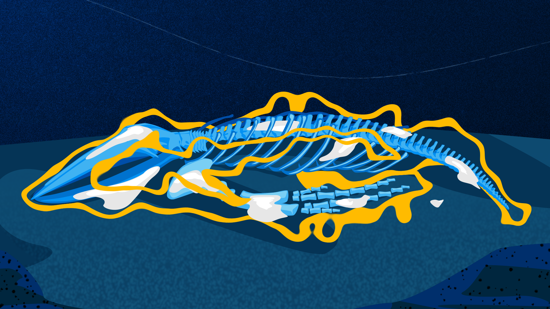 SEQUENCE_10_Bacteria (0-00-10-06).png