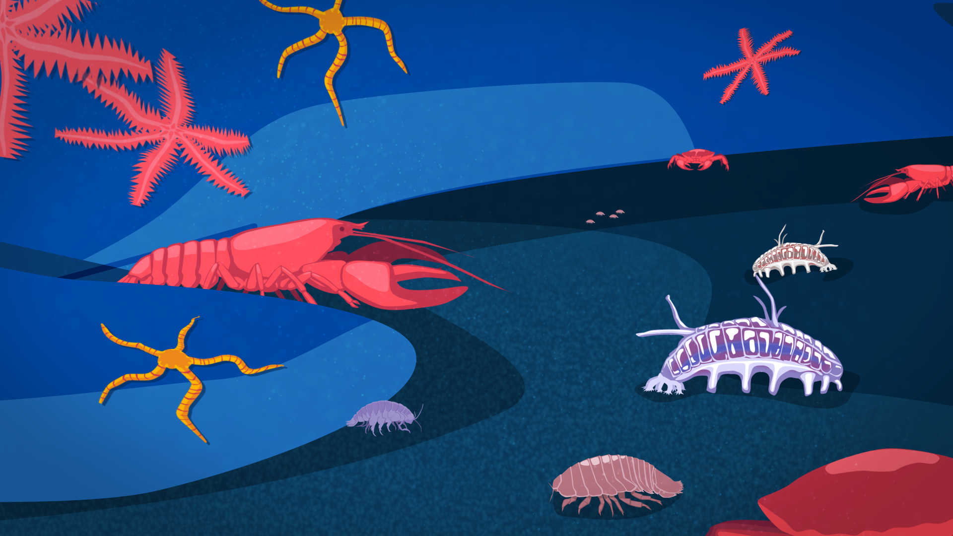 SEQUENCE_08_CrawliesArrive (0-00-00-00).png