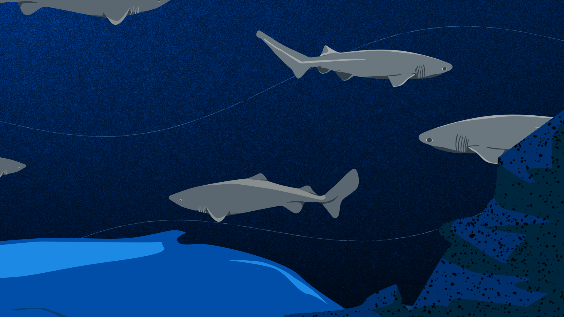 SEQUENCE_07_SharksArrive (0-00-03-04).png