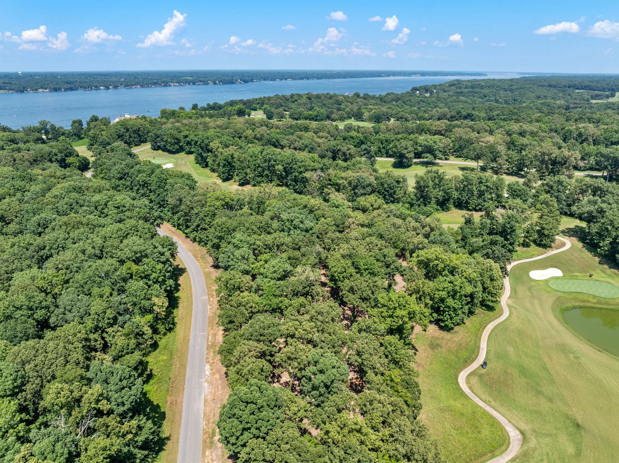 Aerial view of the Irons Subdivision next to the Robert Trent Jones golf course in Muscle Shoals.