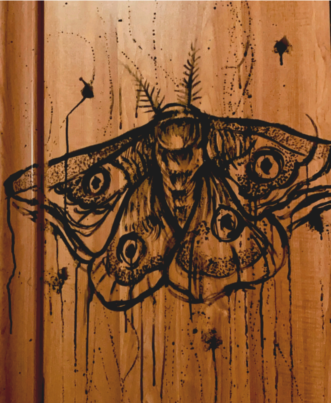 moth+on+almirah.png
