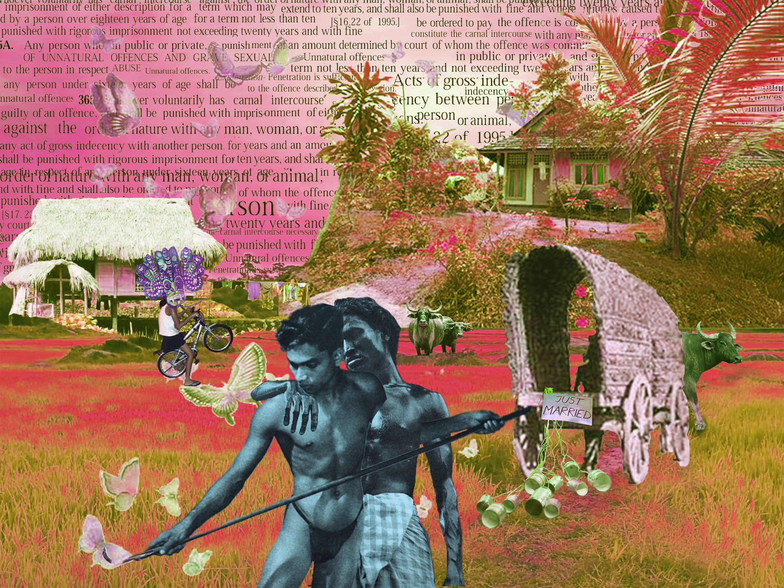 Kaveh D' Rosairo A2 Collage 2.jpg
