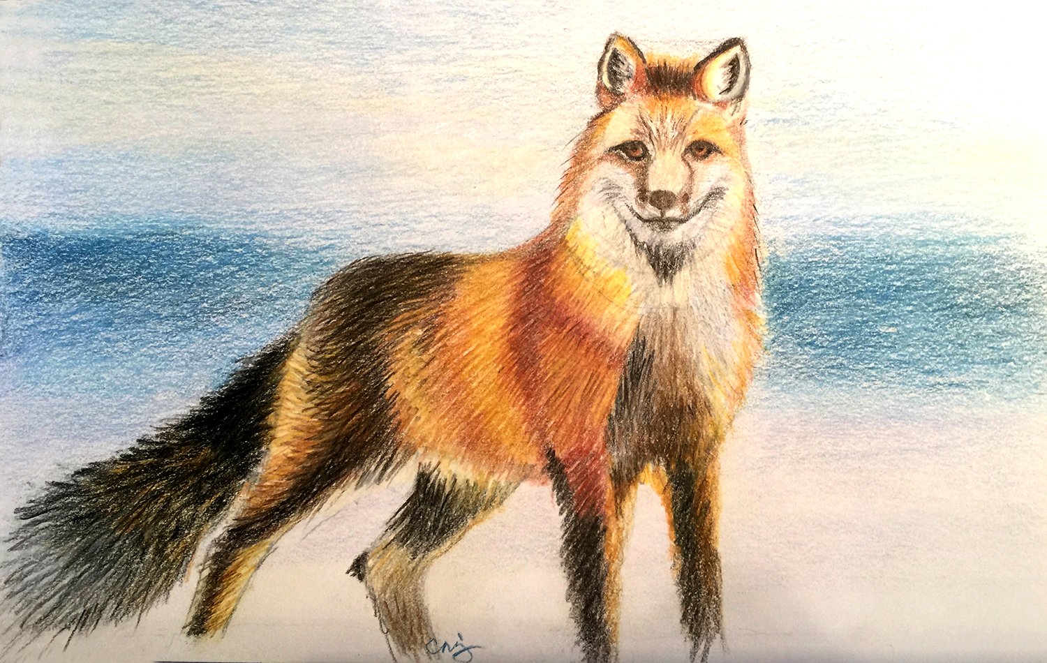 5299.Fox.website.jpg