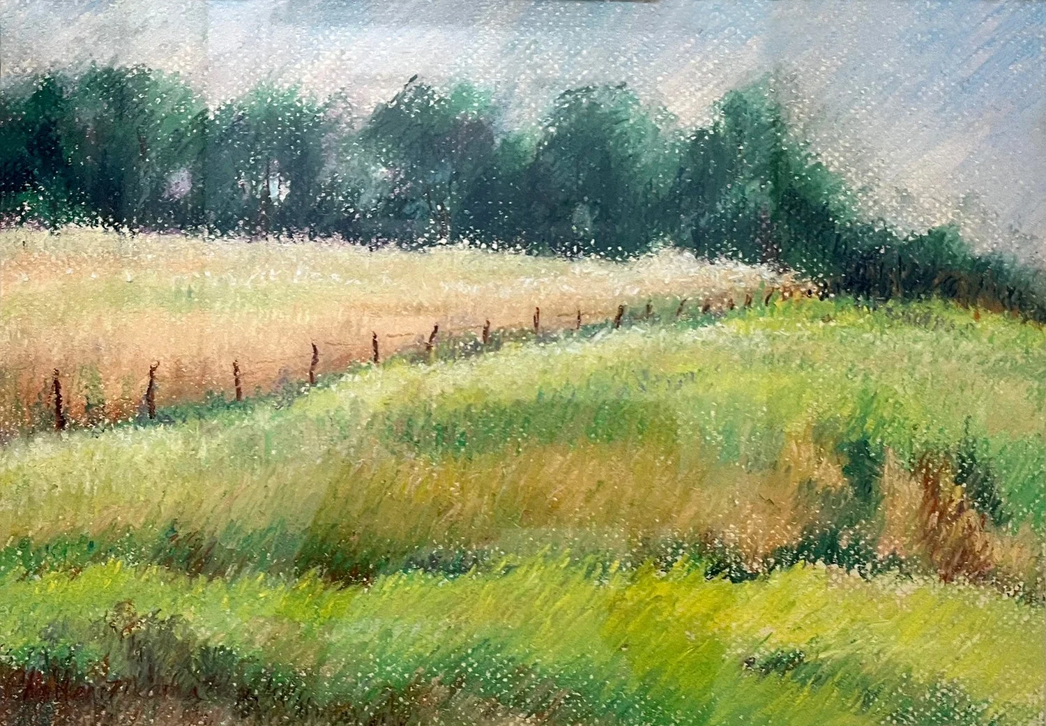Peculiar field.website.jpg
