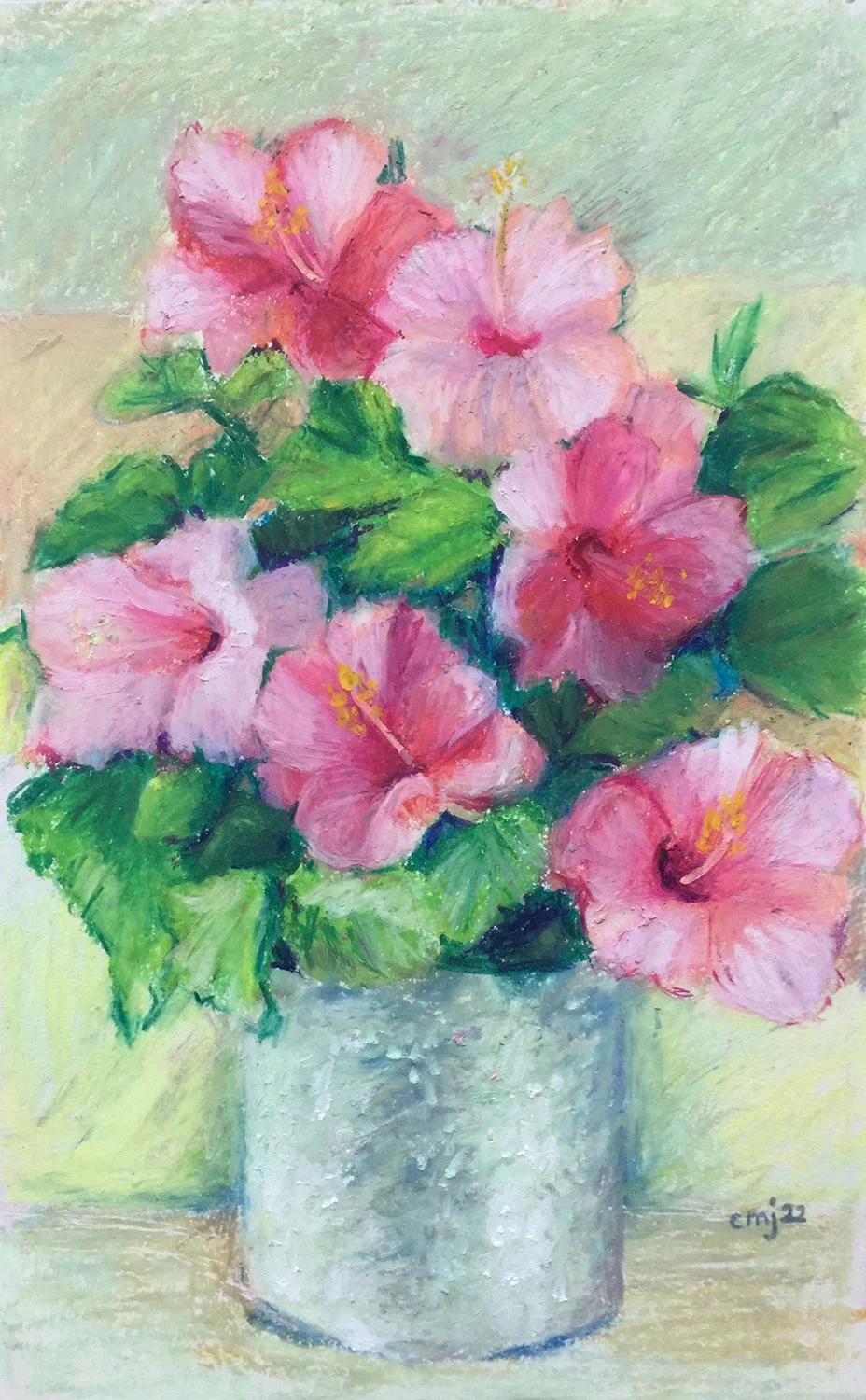 Hibiscus_1.3.25.website.jpg