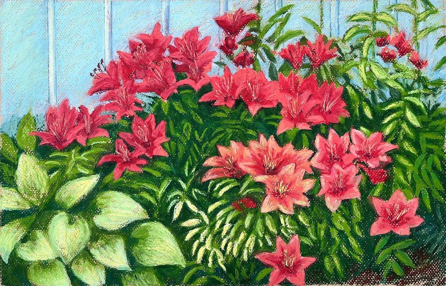 5372.Deck Flowers.website.jpg