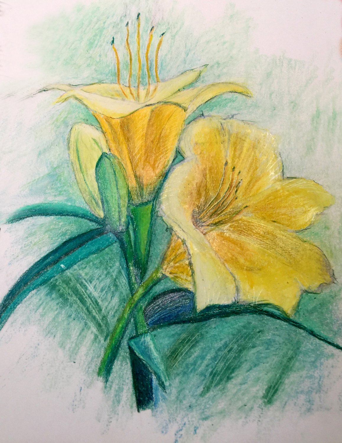 5097.lily.website.jpg