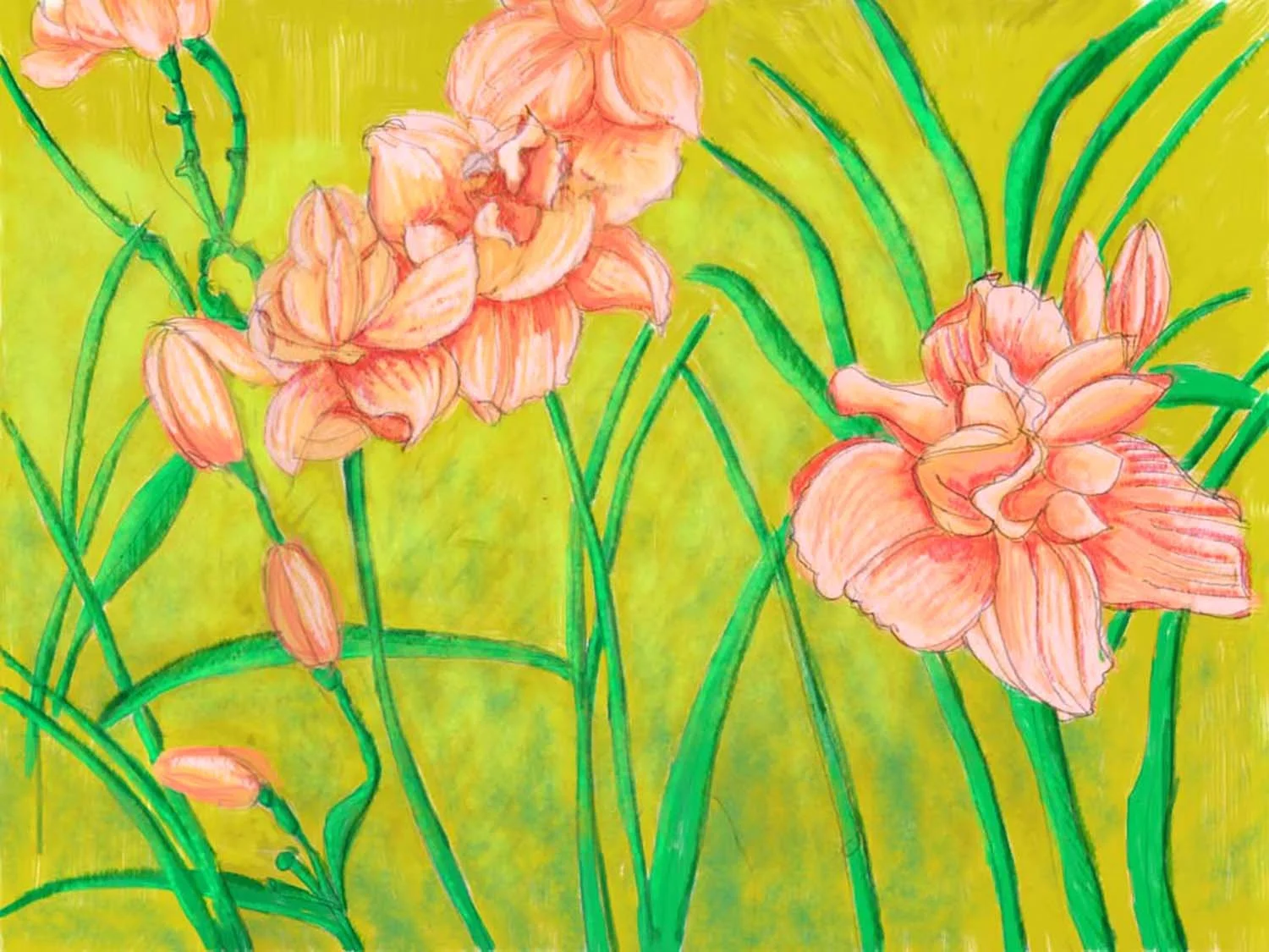 Irises.botanical.website.jpg