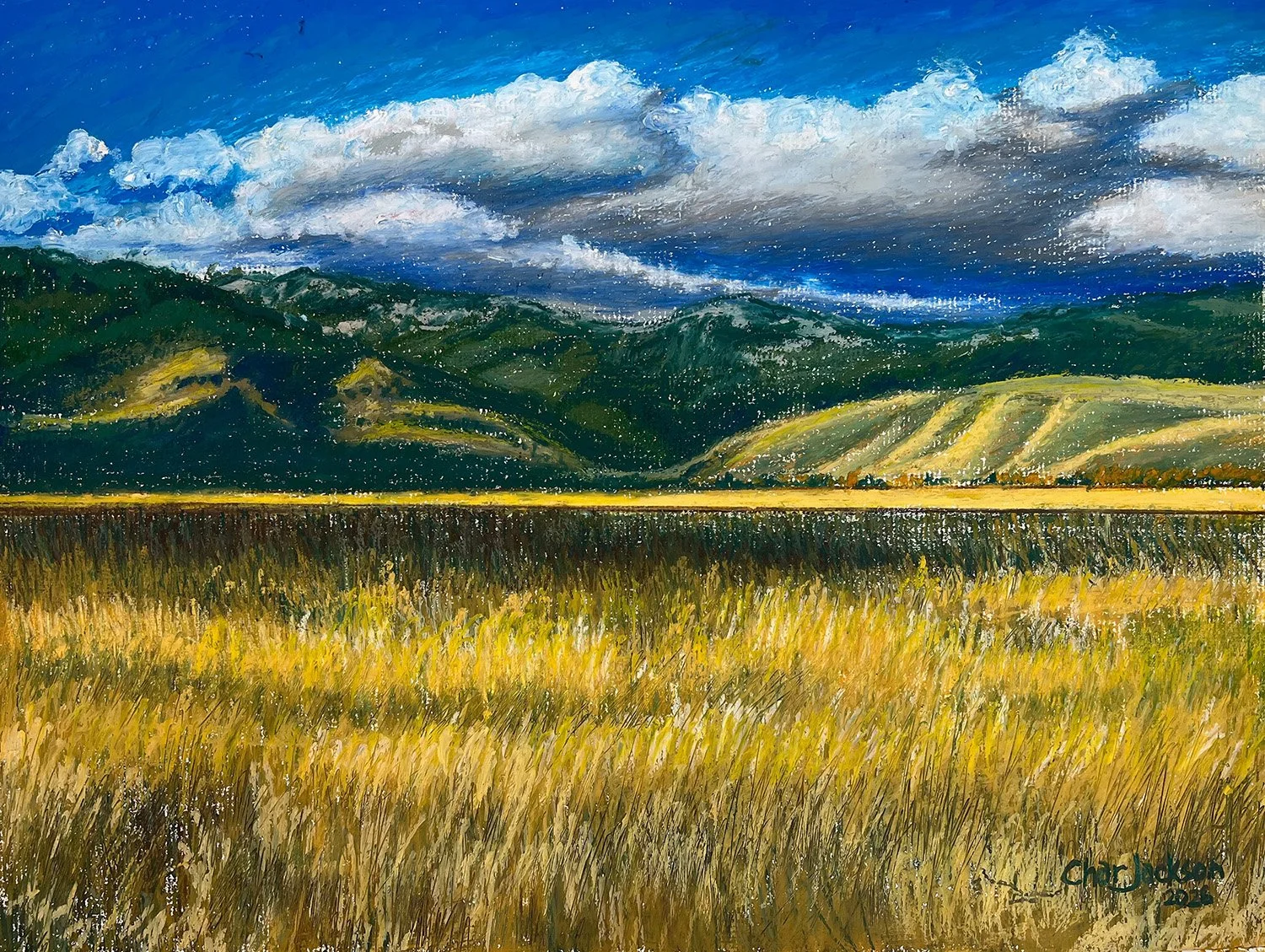 MontanaFall 2026-1.website.jpg