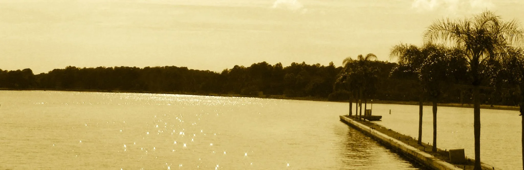 Tropical Lagoon.jpg