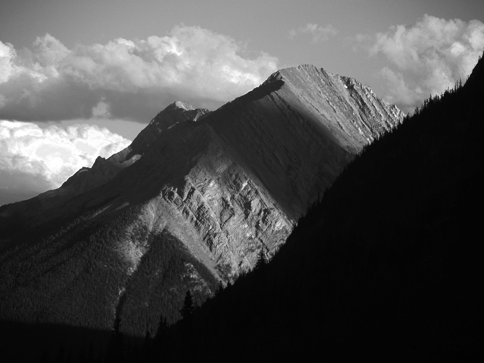 Black and white photograph of mountain peaks with cloudy sky in the background and forested slopes in the foreground.